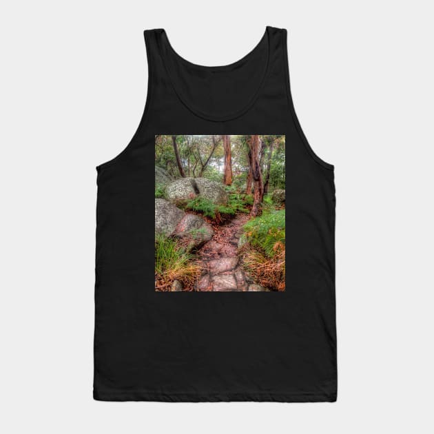 Split Rock at Oatley Park Tank Top by Michaelm43